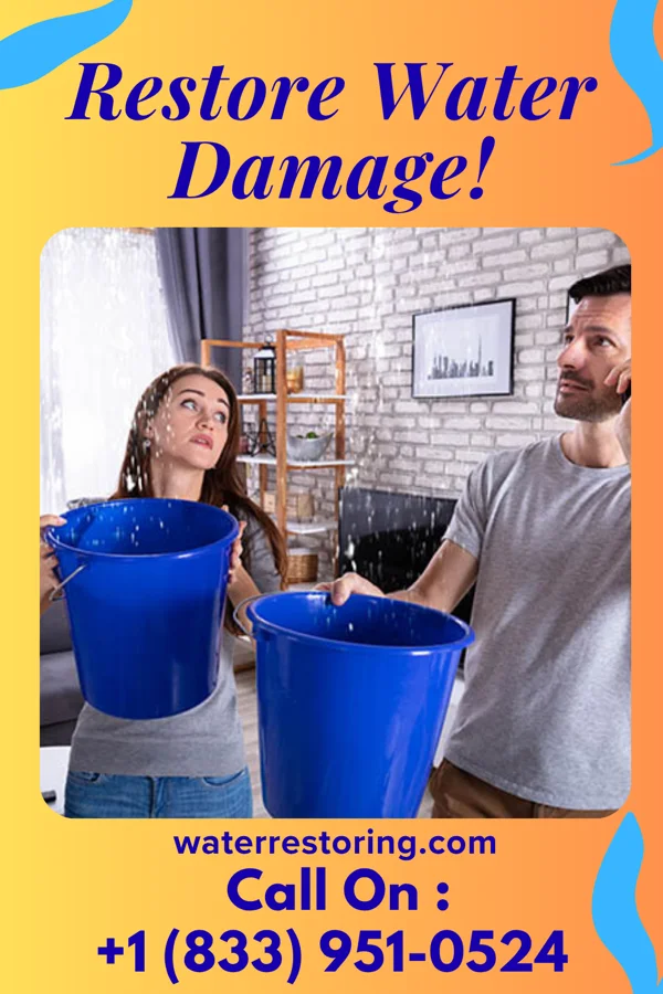 water restoration Titan Water Cleanup Pros Narberth