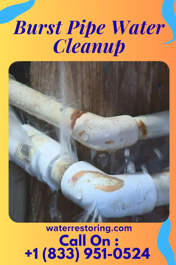 Burst Pipe Water Cleanup in Narberth, PA