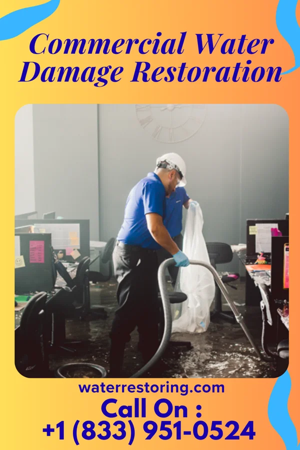 Commercial Water Damage Restoration in Narberth, PA