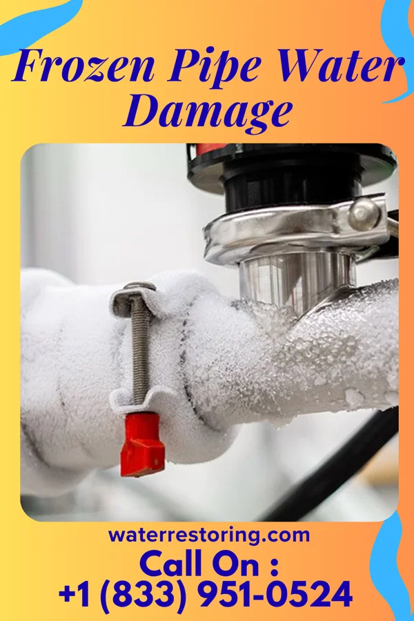 Frozen Pipe Water Damage in Narberth, PA