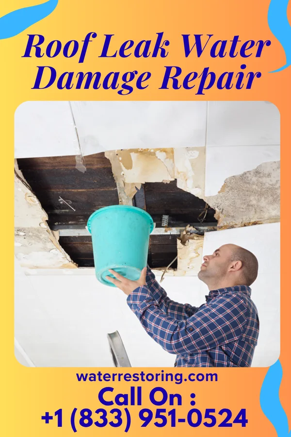 Roof Leak Water Damage Repair in Narberth, PA